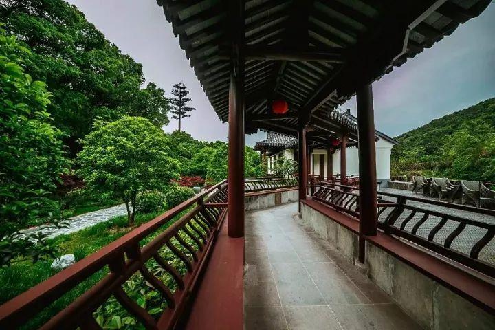 逃出田园庭院